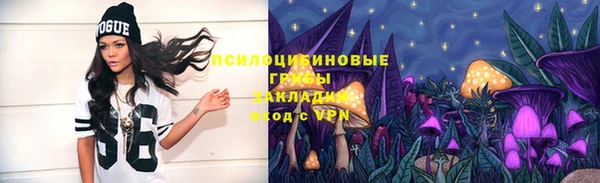 ALPHA PVP Покровск