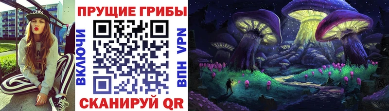 Галлюциногенные грибы Psilocybine cubensis  Агидель 